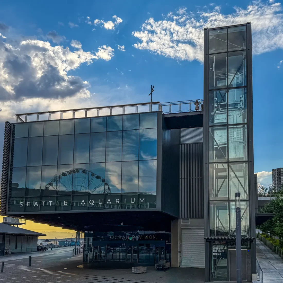 Glazing and storefront entrances at the Seattle Aquarium Ocean Pavilion.