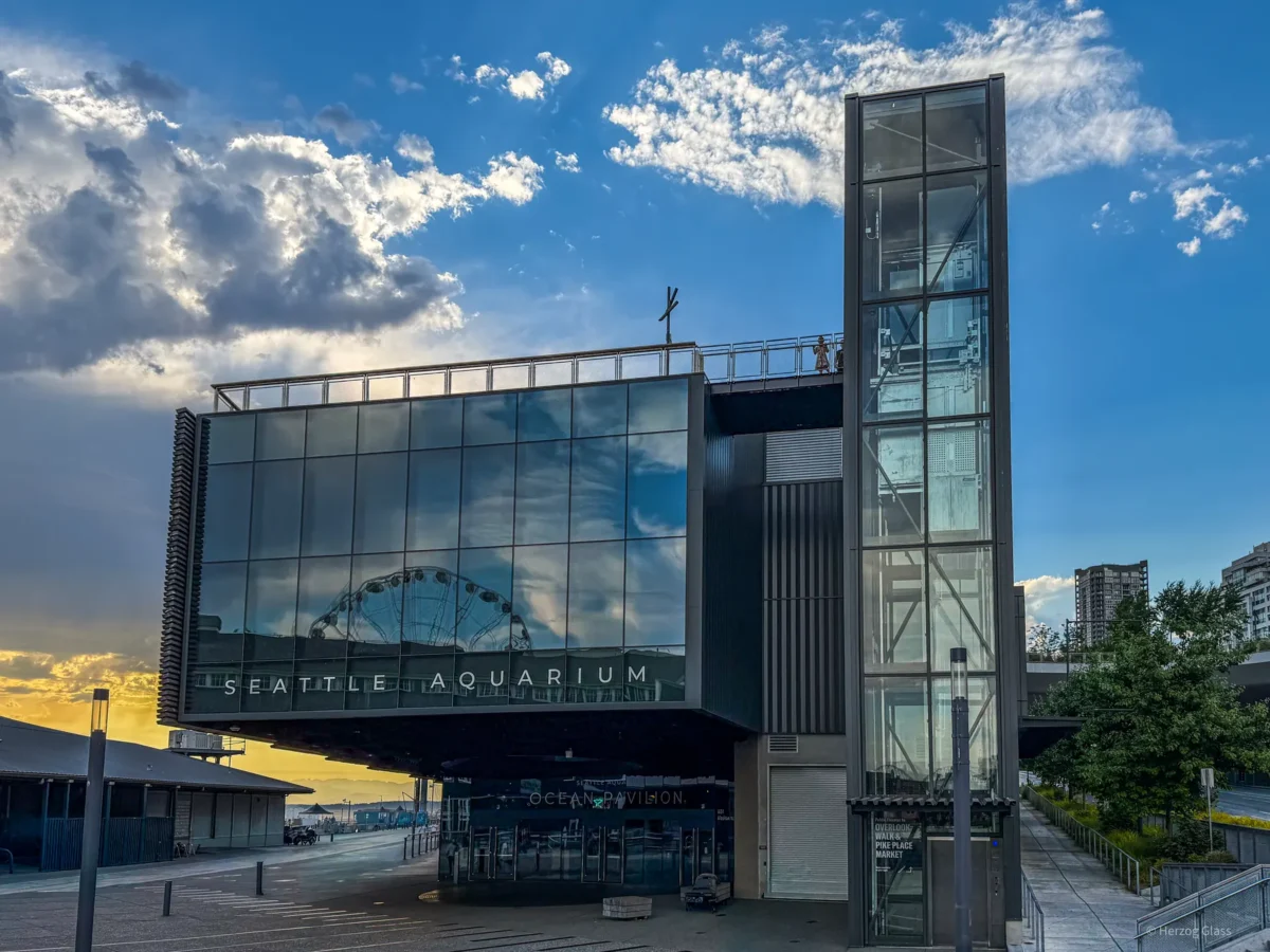 Glazing and storefront entrances at the Seattle Aquarium Ocean Pavilion.