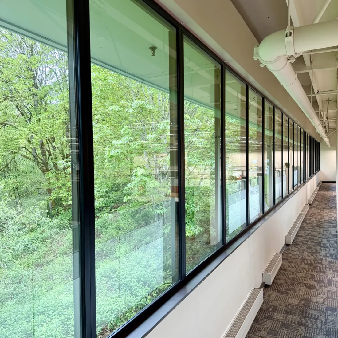 Window and curtain wall work at the Stryker building, with glazed elevations looking onto the trees outside.
