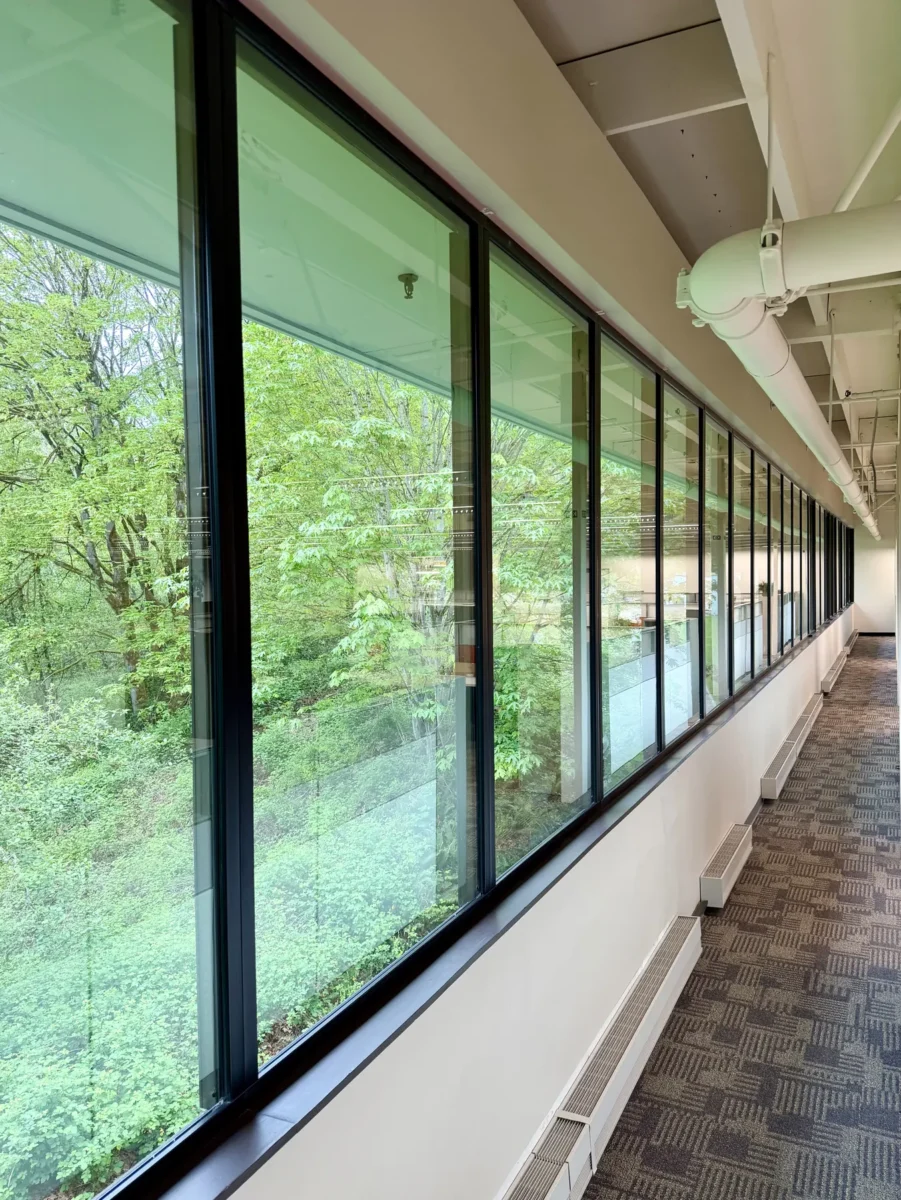 Window and curtain wall work at the Stryker building, with glazed elevations looking onto the trees outside.